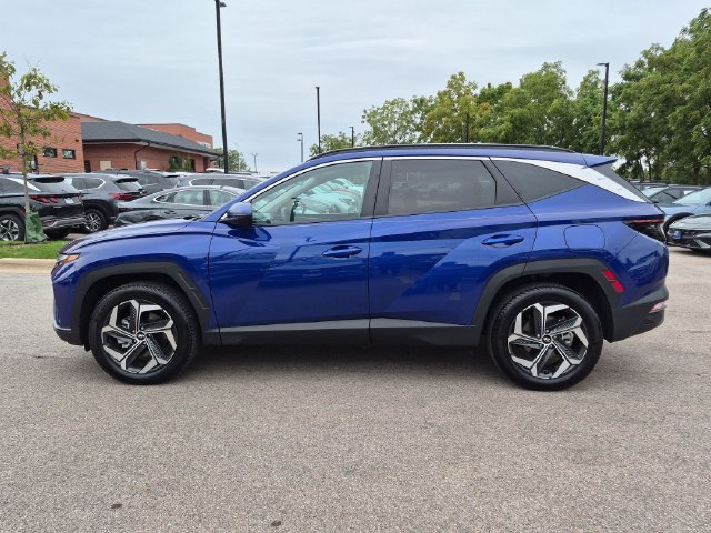 Used 2024 Blue Hyundai SEL image 4