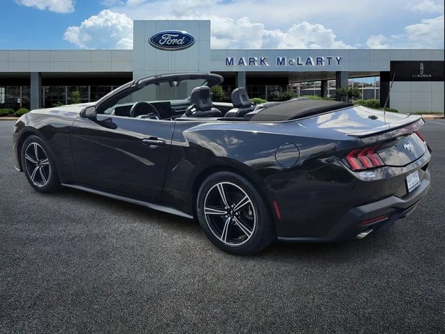 Used 2024 Black Ford EcoBoost Premium image 3