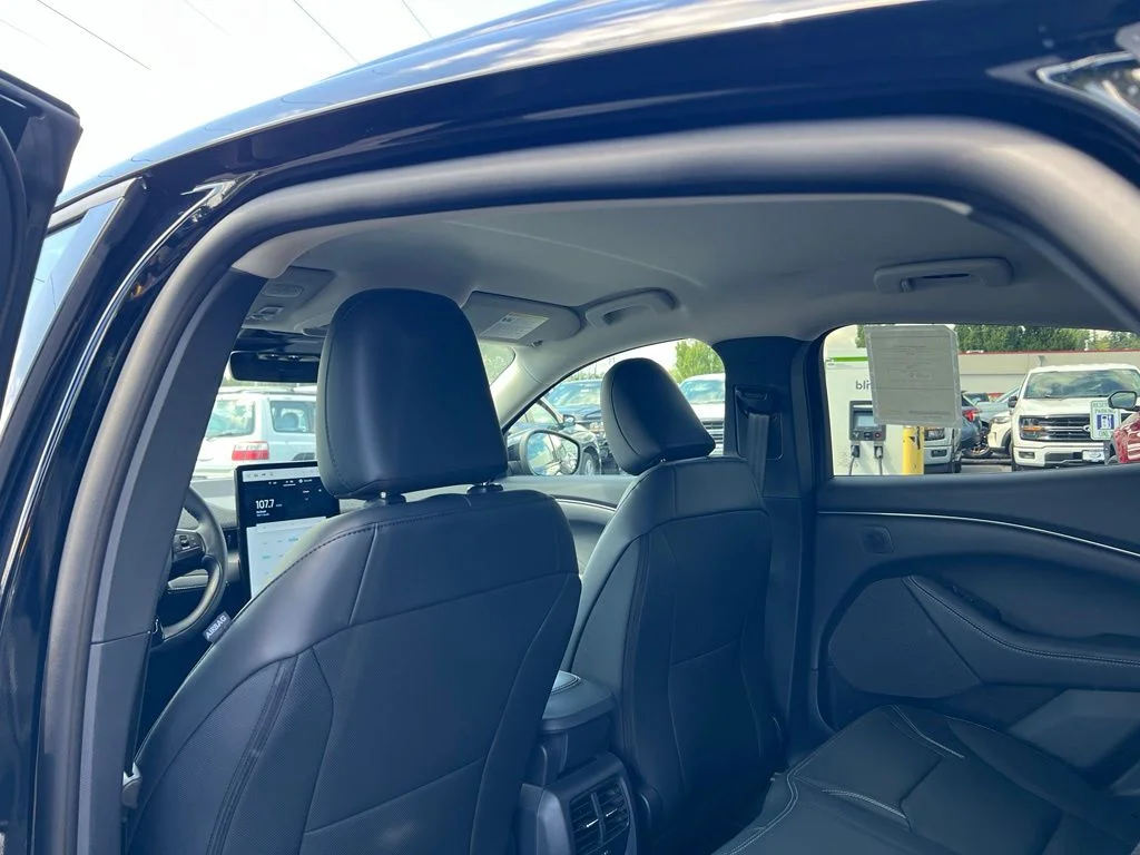 New 2026 Shadow Black Ford Premium image 8