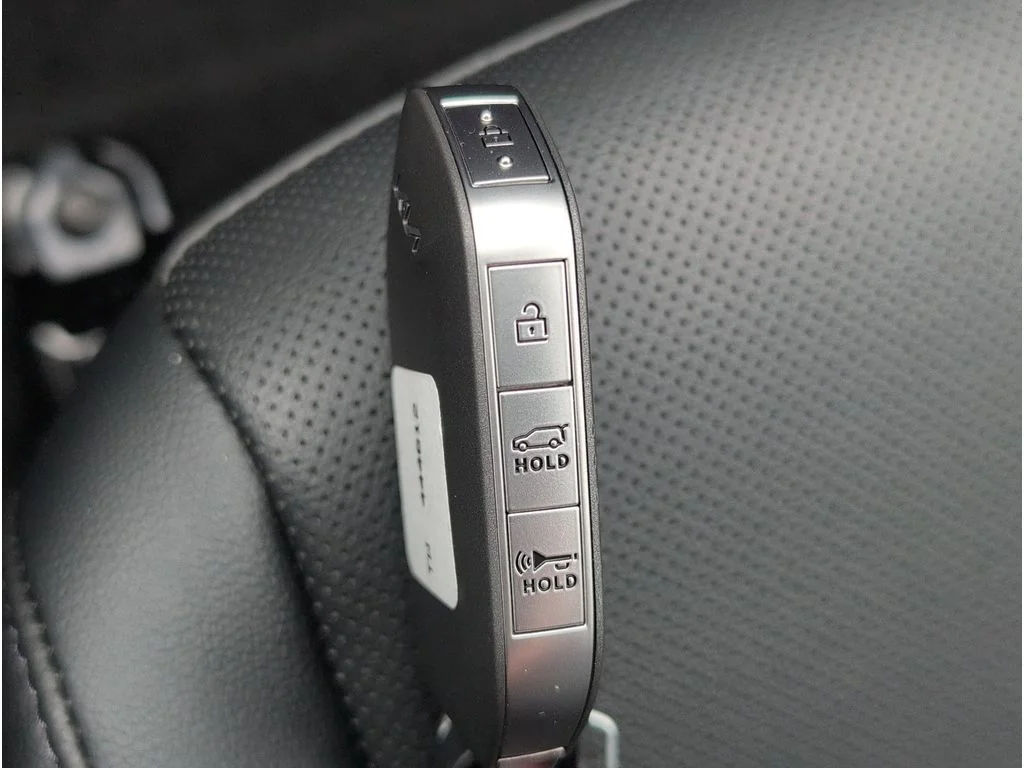 New 2026 Panthera Metal Kia EX image 19