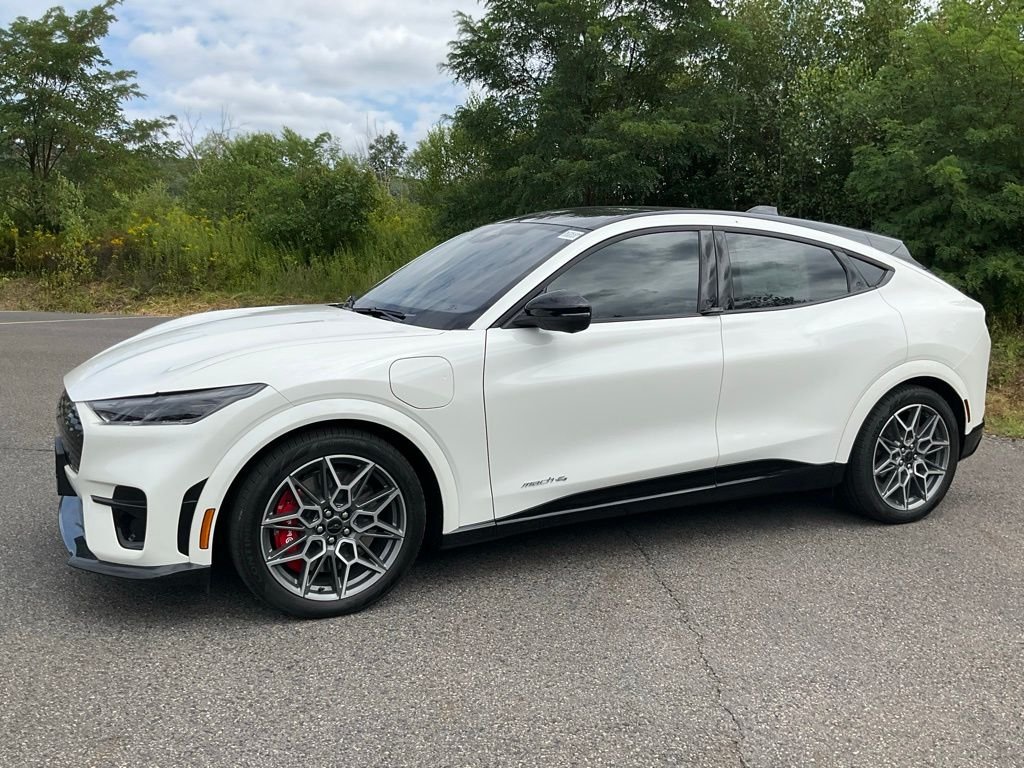 2025 Ford Mustang Mach-E GT - Photo 31