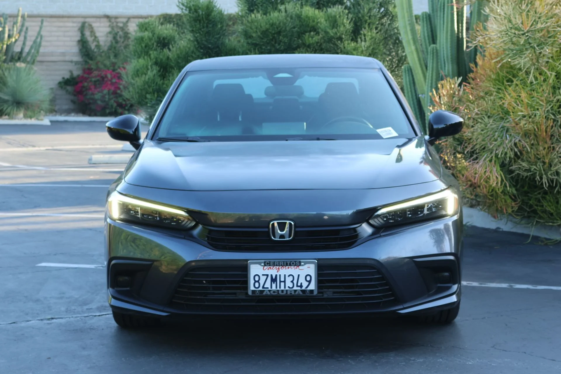 Used 2022 Black Honda Sport image 3