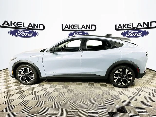New 2026 Gray Ford Select image 6