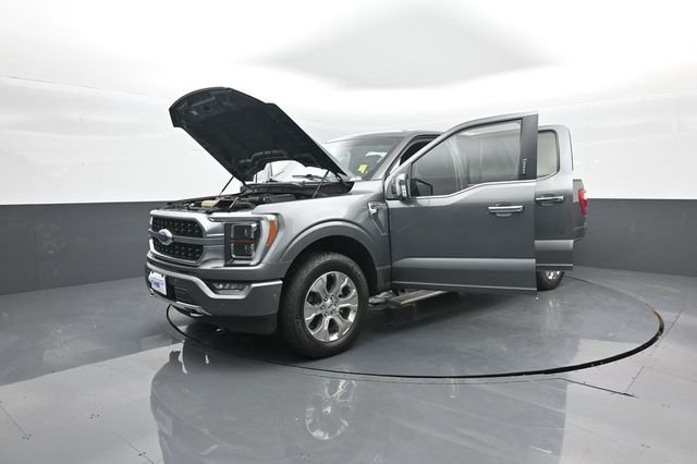 Used 2023 Gray Ford Platinum image 45