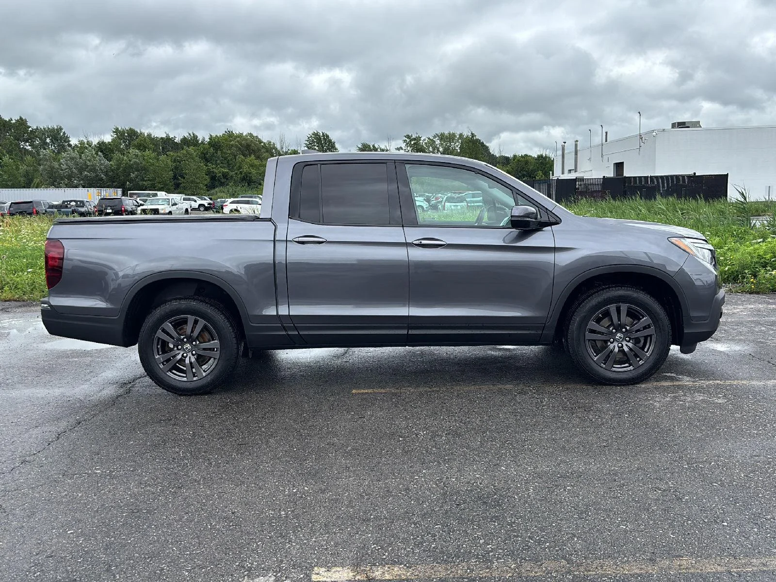 Used 2020 Gy Honda Sport image 8