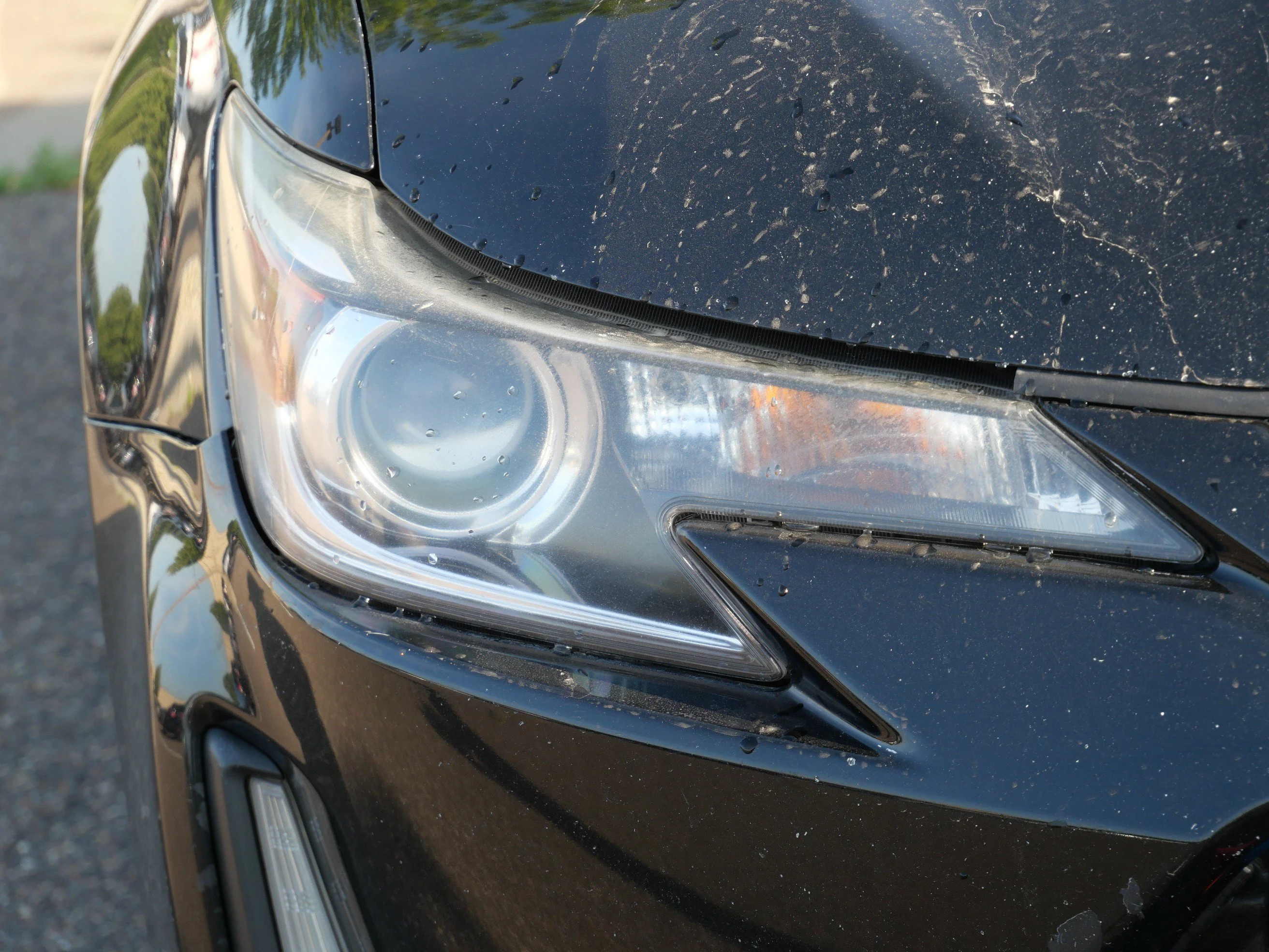 Used 2016 Black Scion  image 9