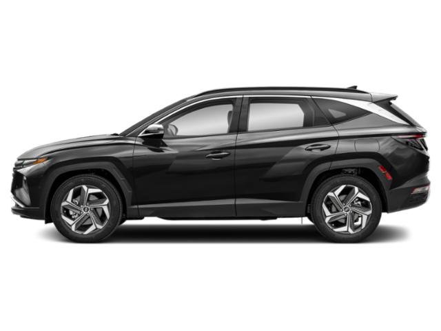Used 2024 Black Pearl Hyundai Limited image 3