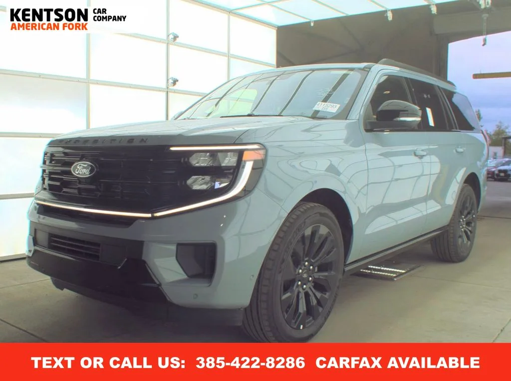 2025 Ford Expedition Platinum 4x4's photo
