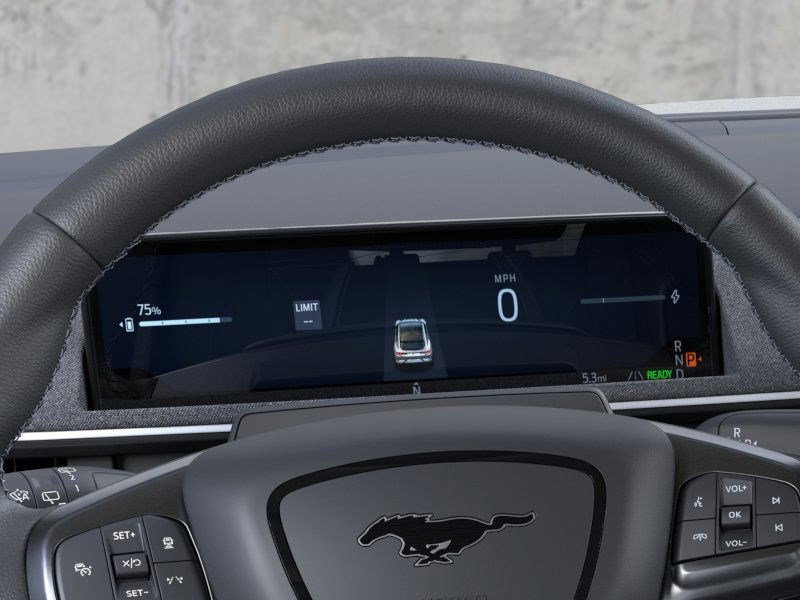 2025 Ford Mustang Mach-E GT Performance Edition photo 2