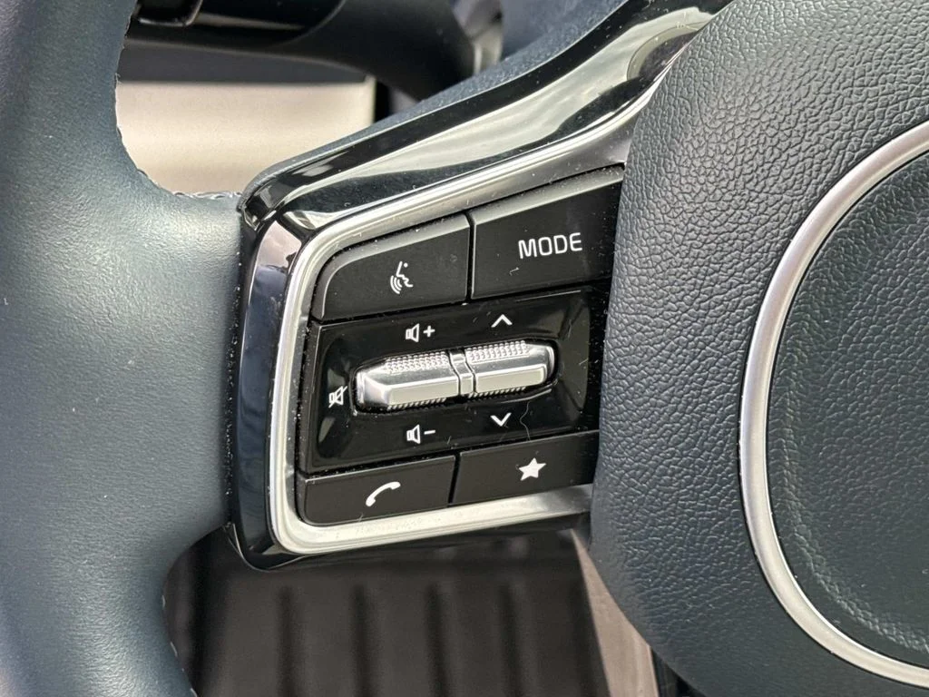 2025 Kia Carnival SX Prestige - Photo 29