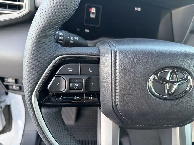 New 2026 Beige Toyota Platinum image 17