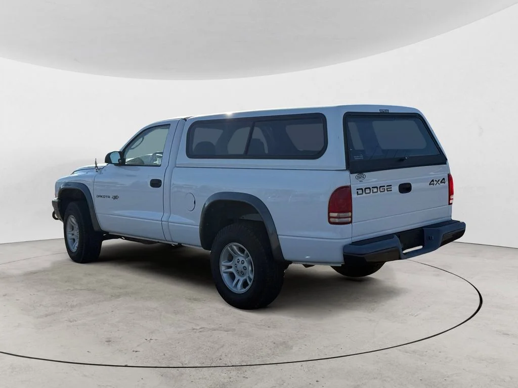 Used 2002 White Dodge Base image 3