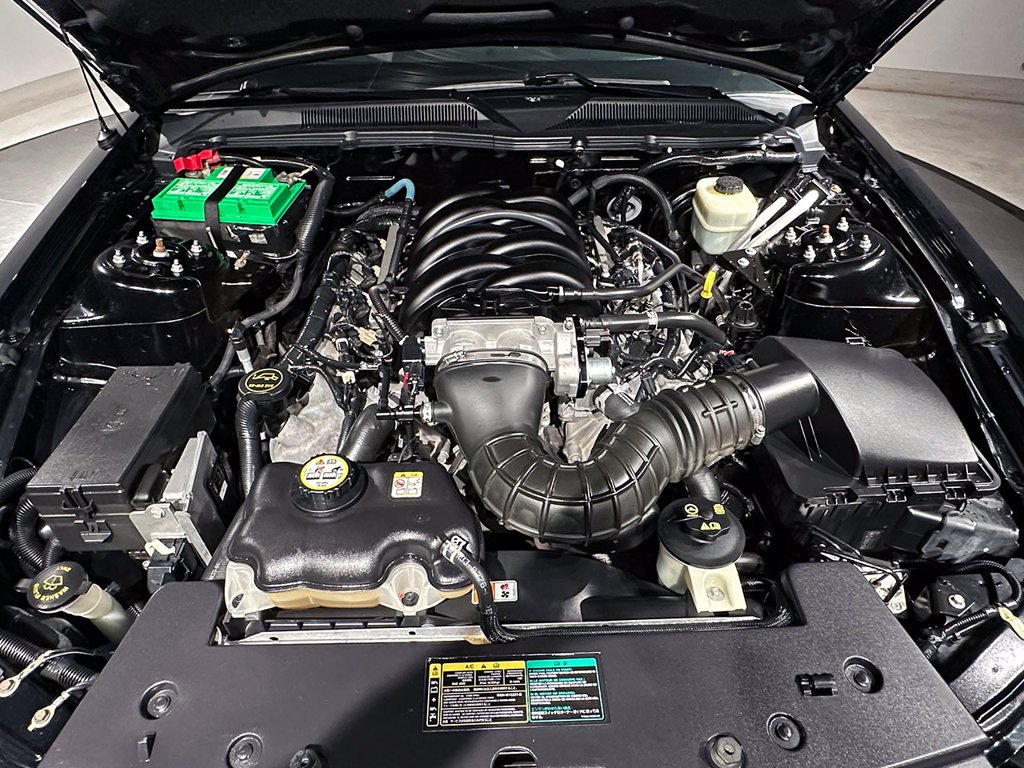 Used 2005 Black Ford  image 22