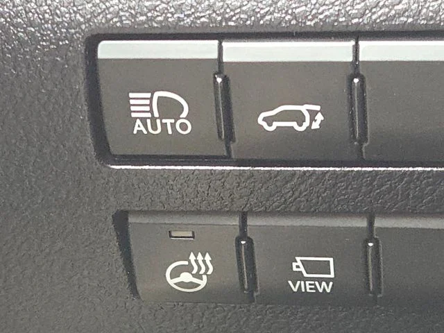 2021 Lexus RX 350 - Photo 28