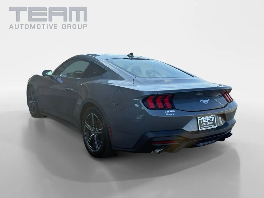 Used 2025 Gray Ford EcoBoost image 5