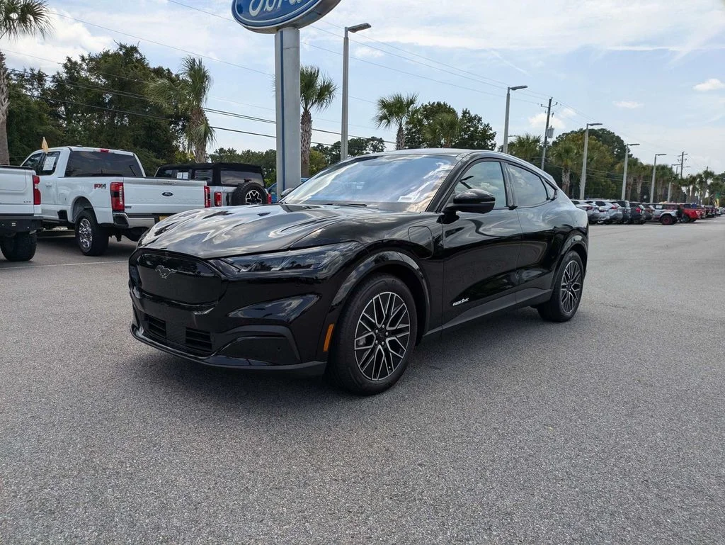 New 2026 Shadow Black Ford Premium image 8