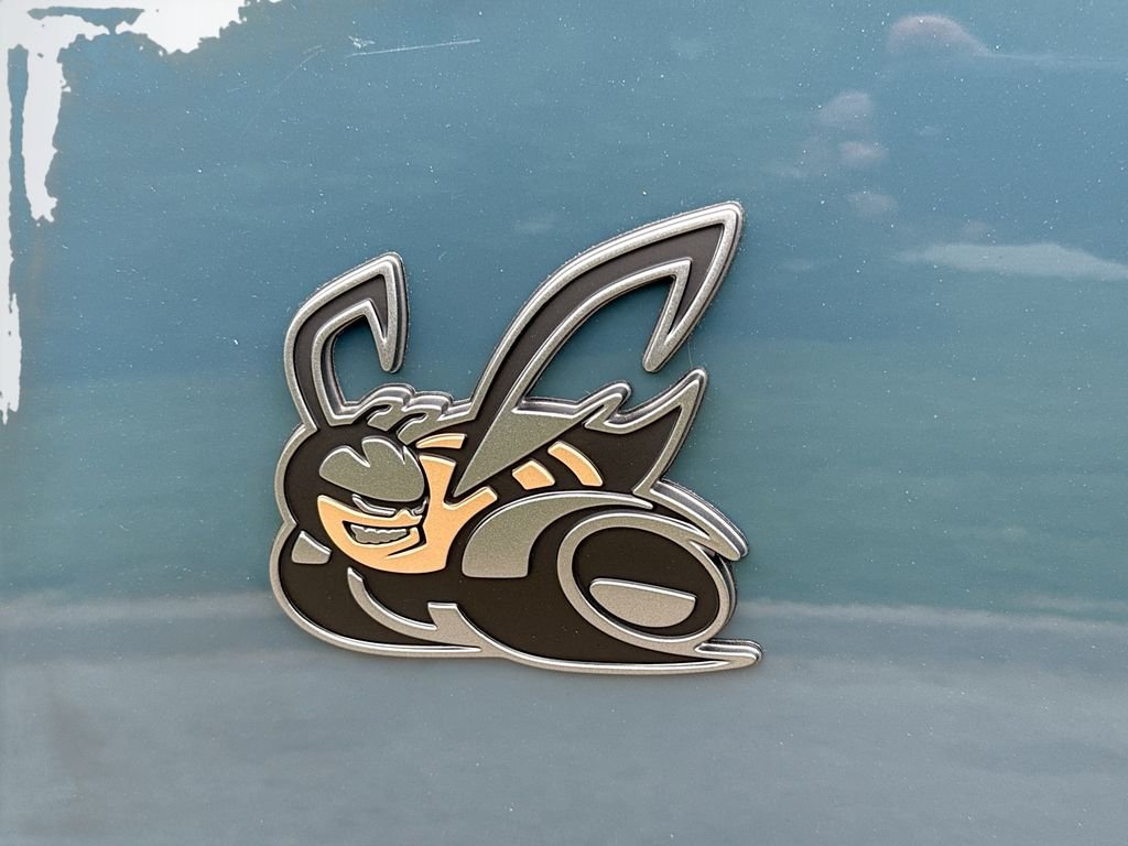 New 2026 Sub-Zero Exterior Paint Dodge Scat Pack image 10