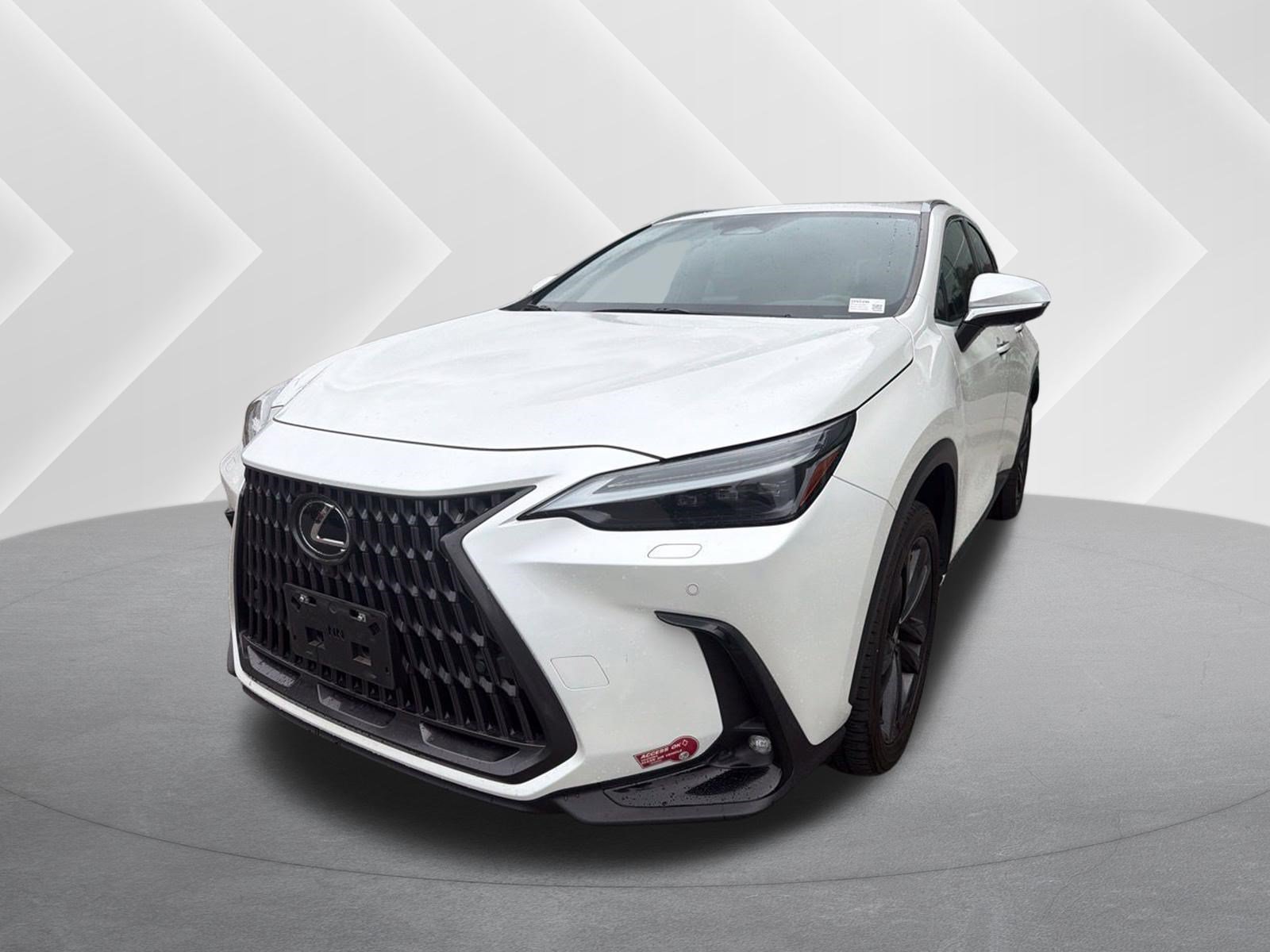 2024 Lexus NX PHEV