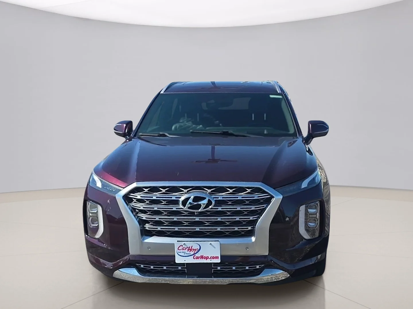 2020 Hyundai Palisade Limited - Photo 8