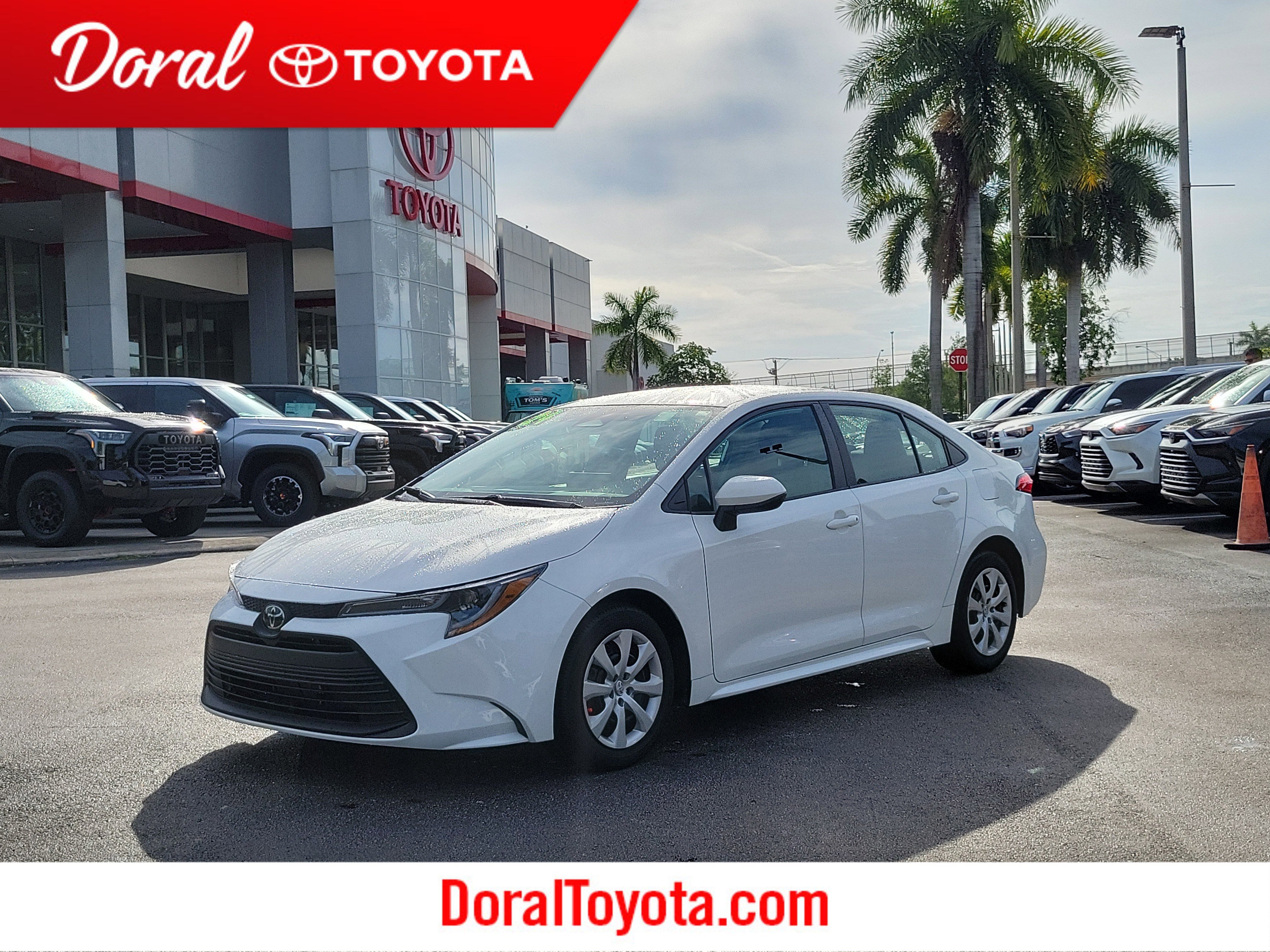 2024 Toyota Corolla LE CVT's photo
