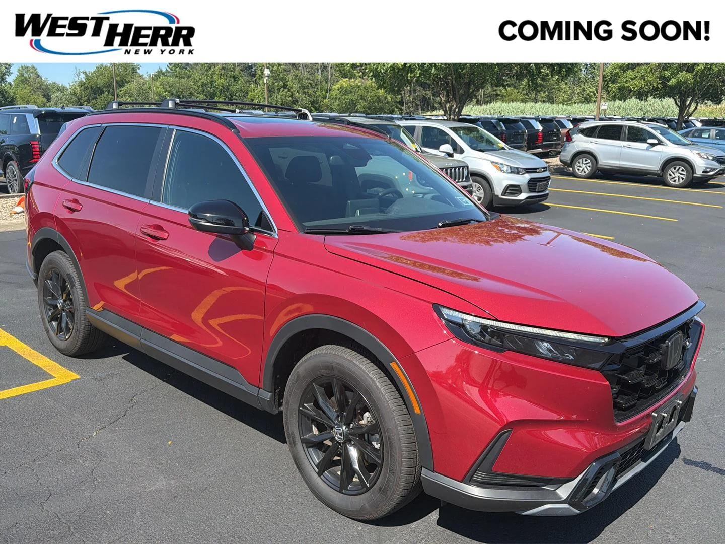 Used 2024 Radiant Red Metallic Honda Sport image 1