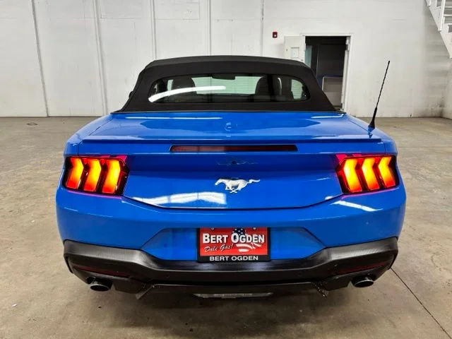 Used 2025 Blue Ford EcoBoost Premium image 6