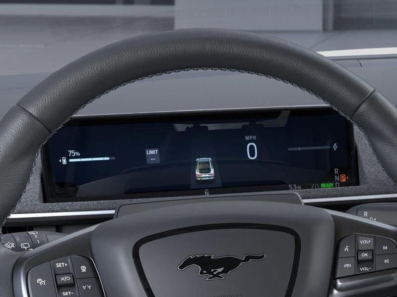 2025 Ford Mustang Mach-E GT - Photo 13