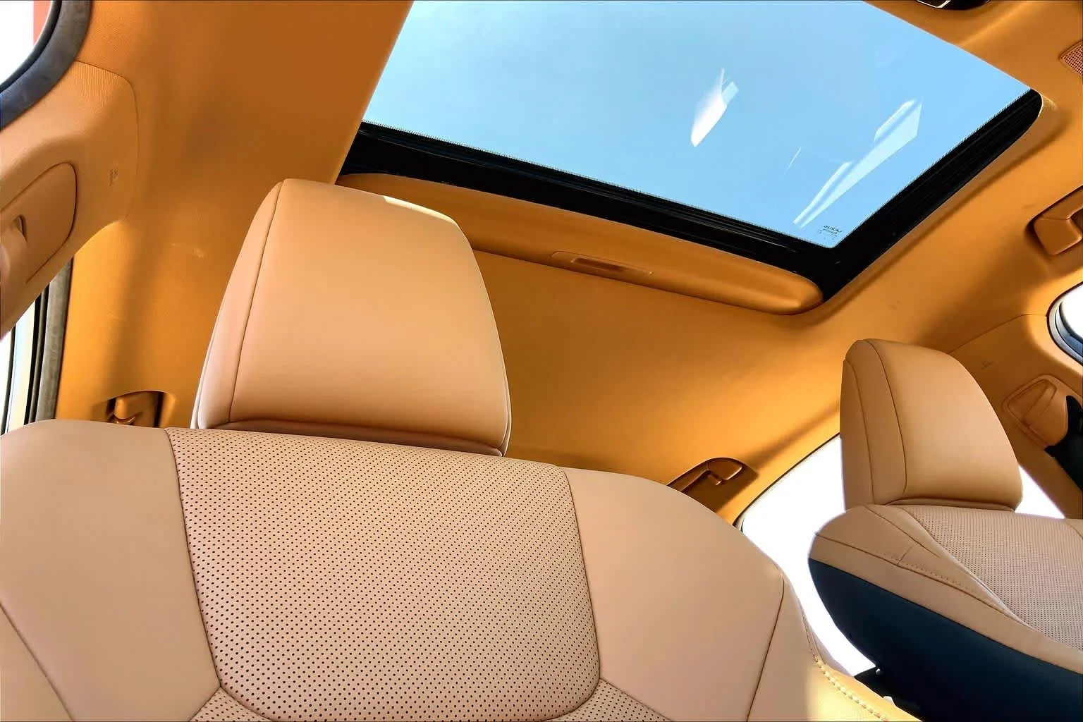 Used 2023 Redline Lexus Premium image 14