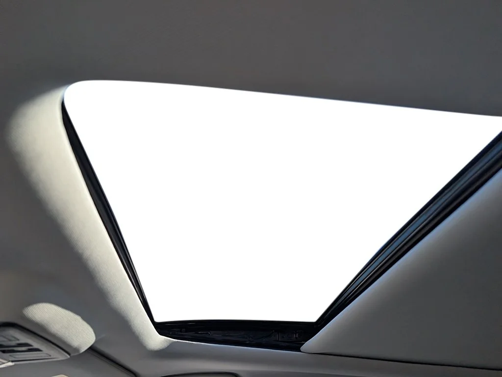 New 2026 Everest White Pearl TriCoat Nissan SL image 16