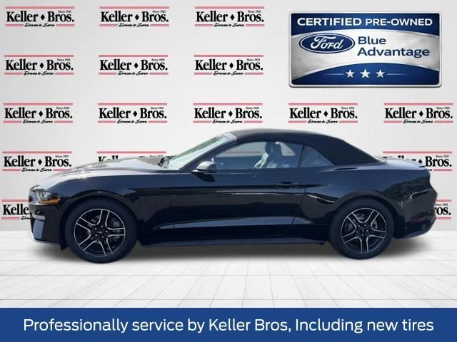 Certified Used 2019 Black Ford EcoBoost Premium image 4