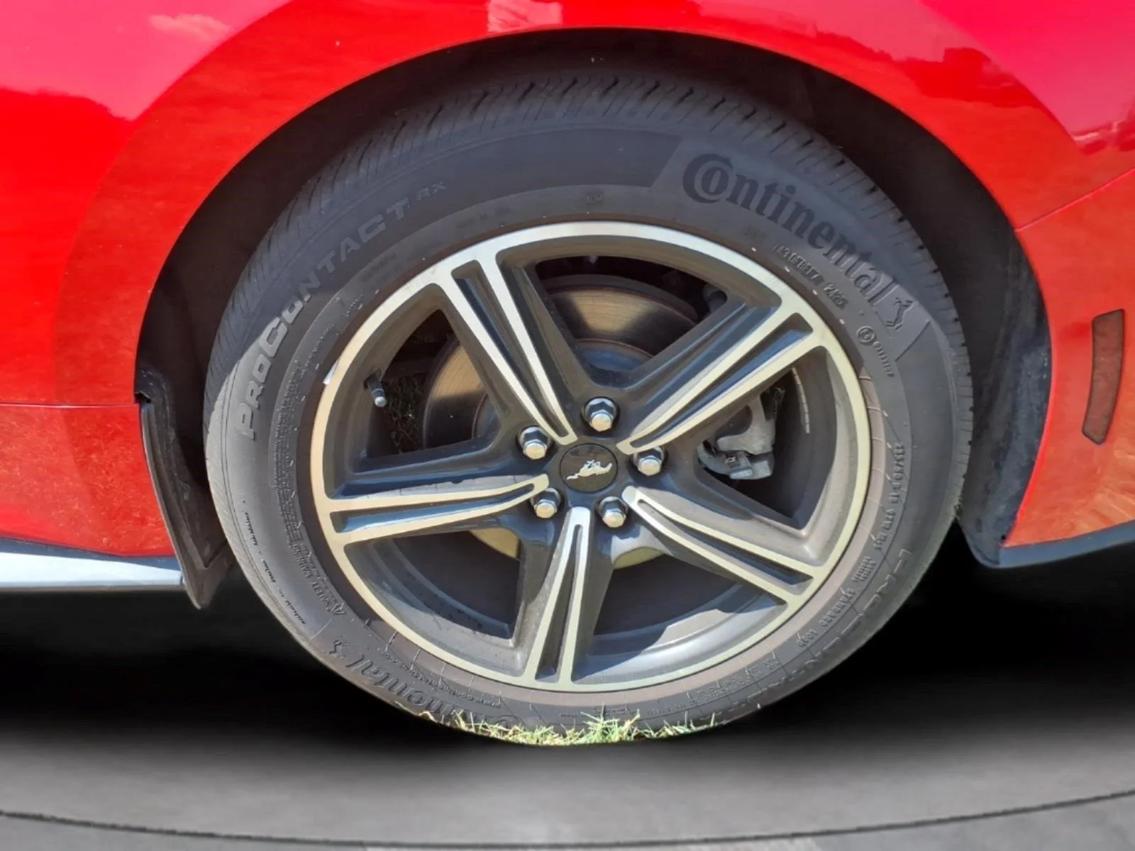 Used 2025 Race Red Ford EcoBoost Premium image 10