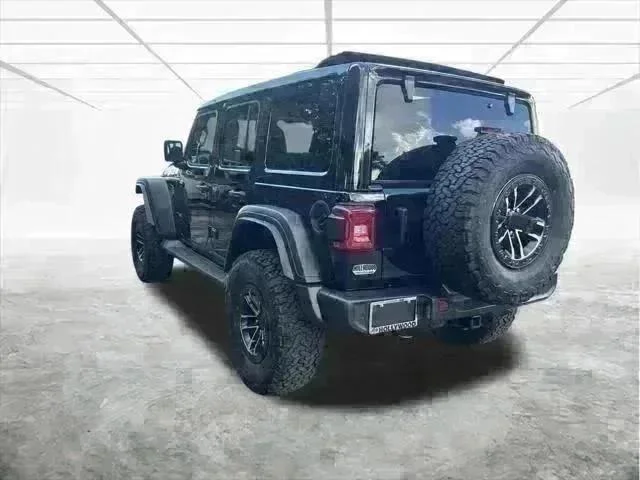 New 2025 Black Clear-Coat Exterior Paint Jeep Willys image 6