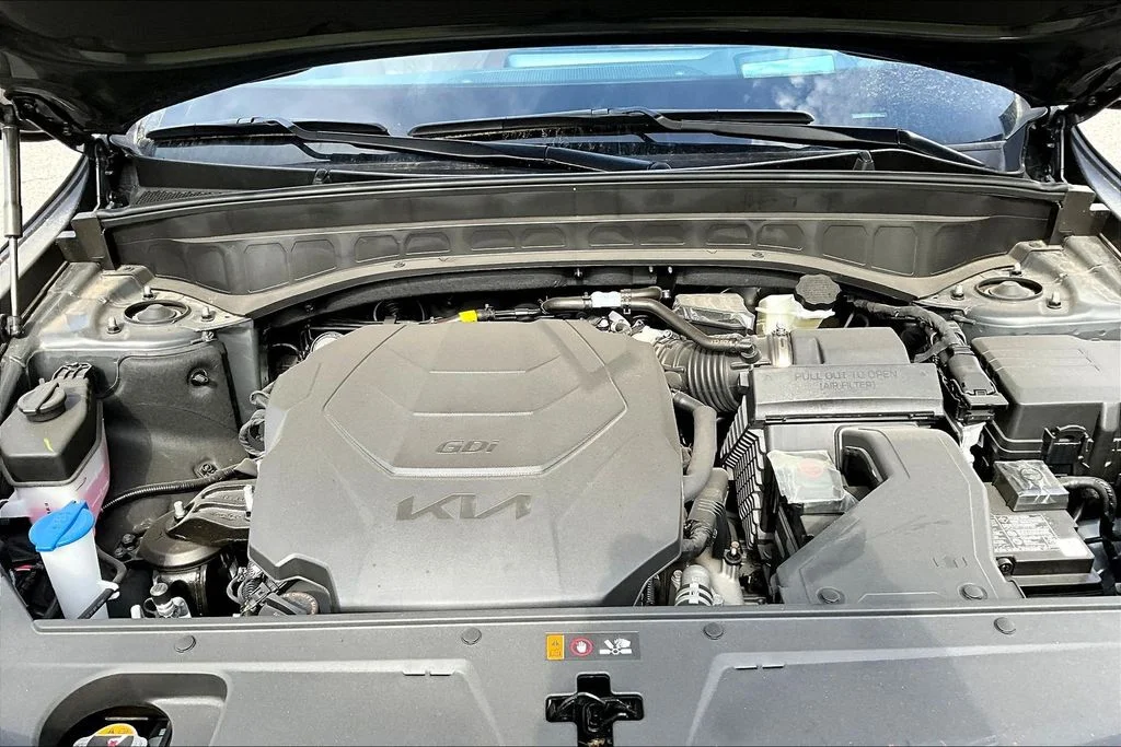 New 2025 Panthera Metal Kia SX Prestige X-Pro image 12