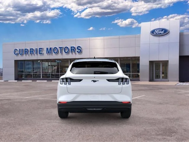 New 2026 Star White Metallic Tri-coat Ford Premium image 5