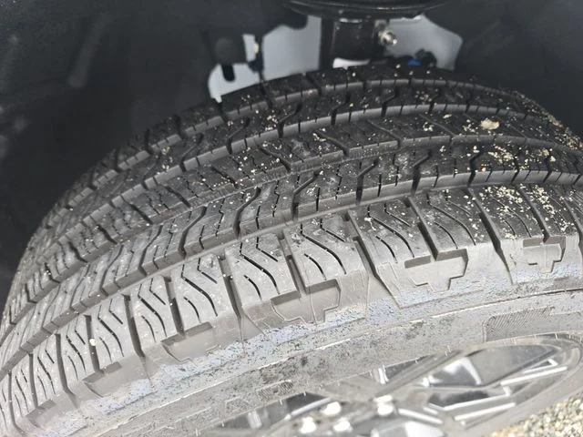 New 2026 White Ford XLT image 14