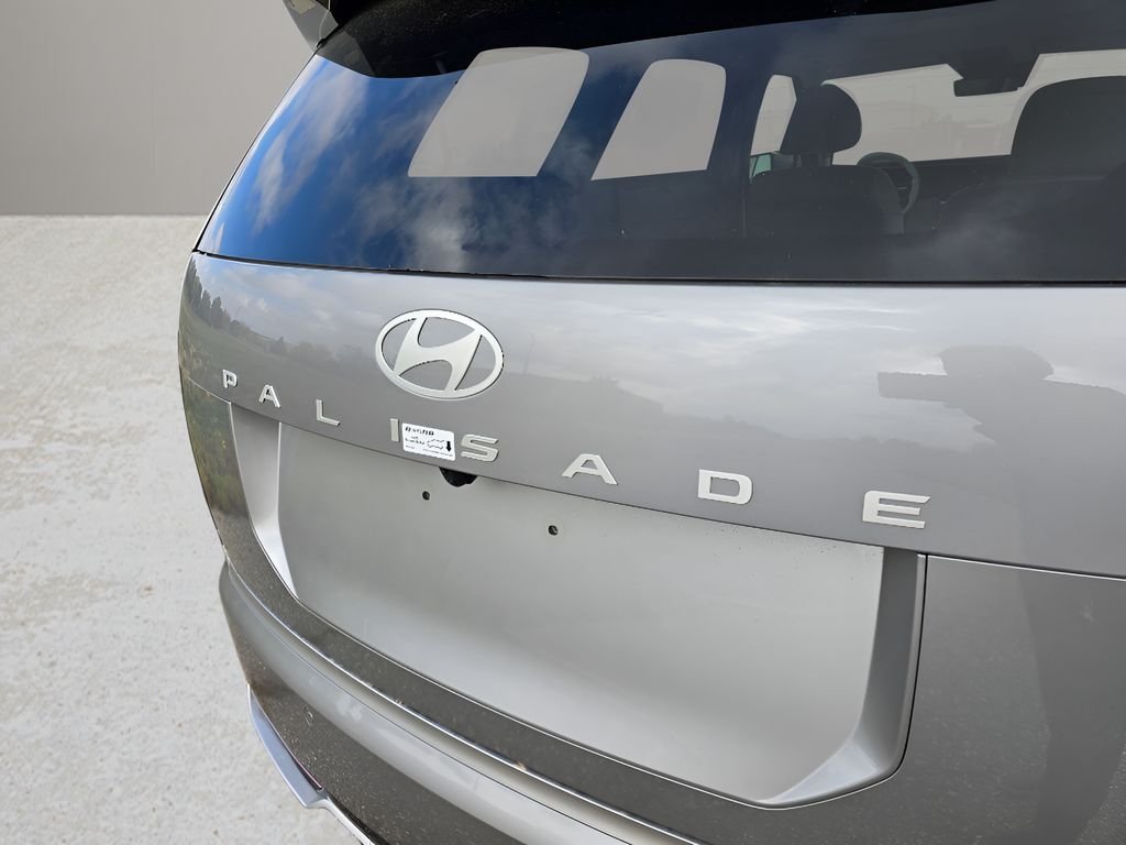 New 2026 Typhoon Silver Metallic Hyundai Calligraphy image 11