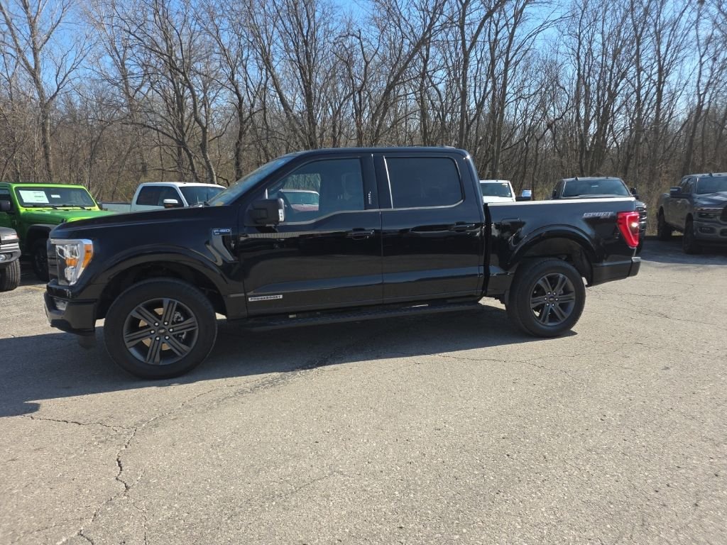 Used 2023 Ford F-150 XLT with VIN 1FTFW1ED9PFD06812 for sale in Kansas City