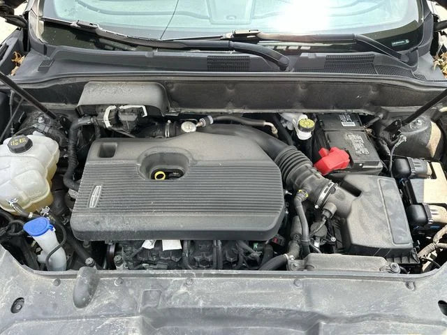 Photo 20