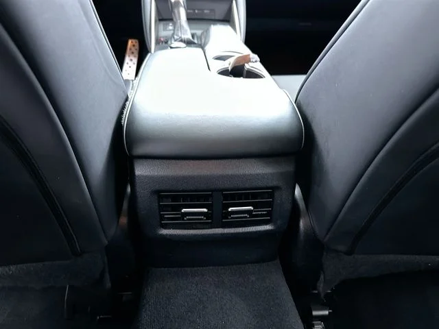 Used 2018 Black Lexus 300 image 19