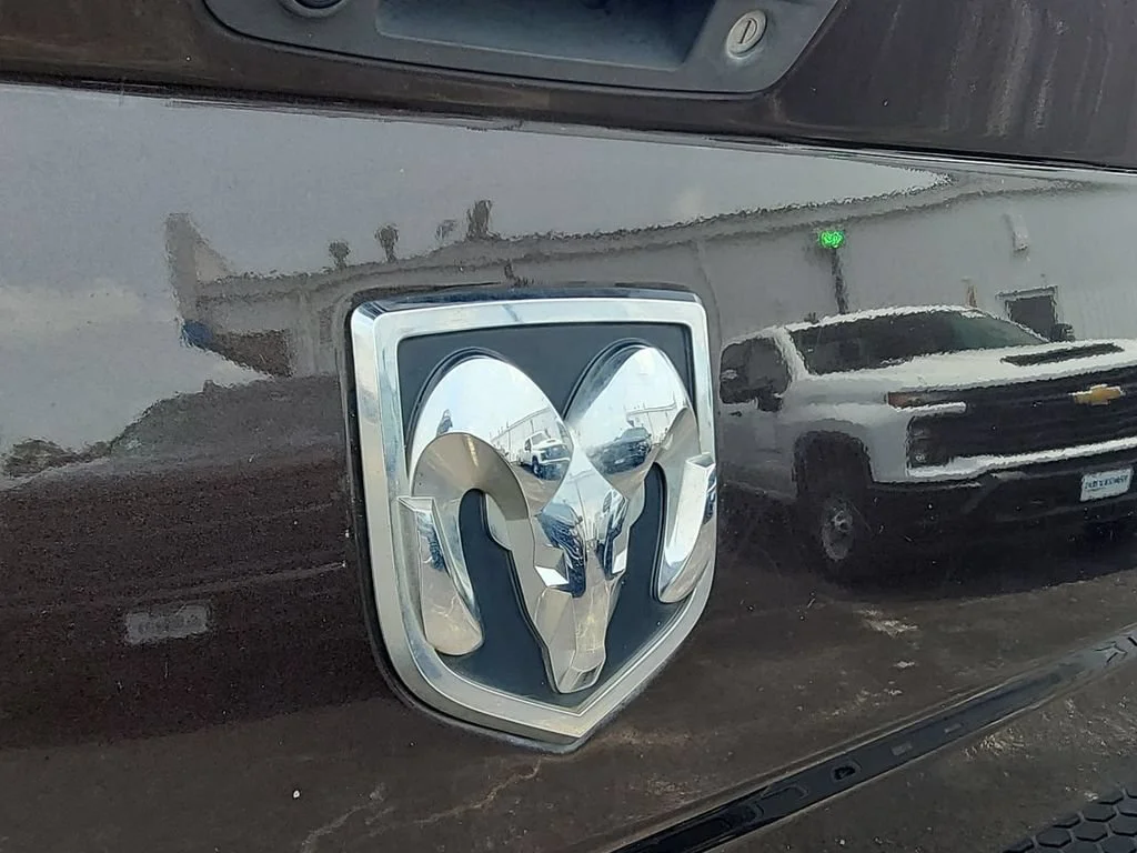 Used 2017 Brown Ram Lone Star image 29
