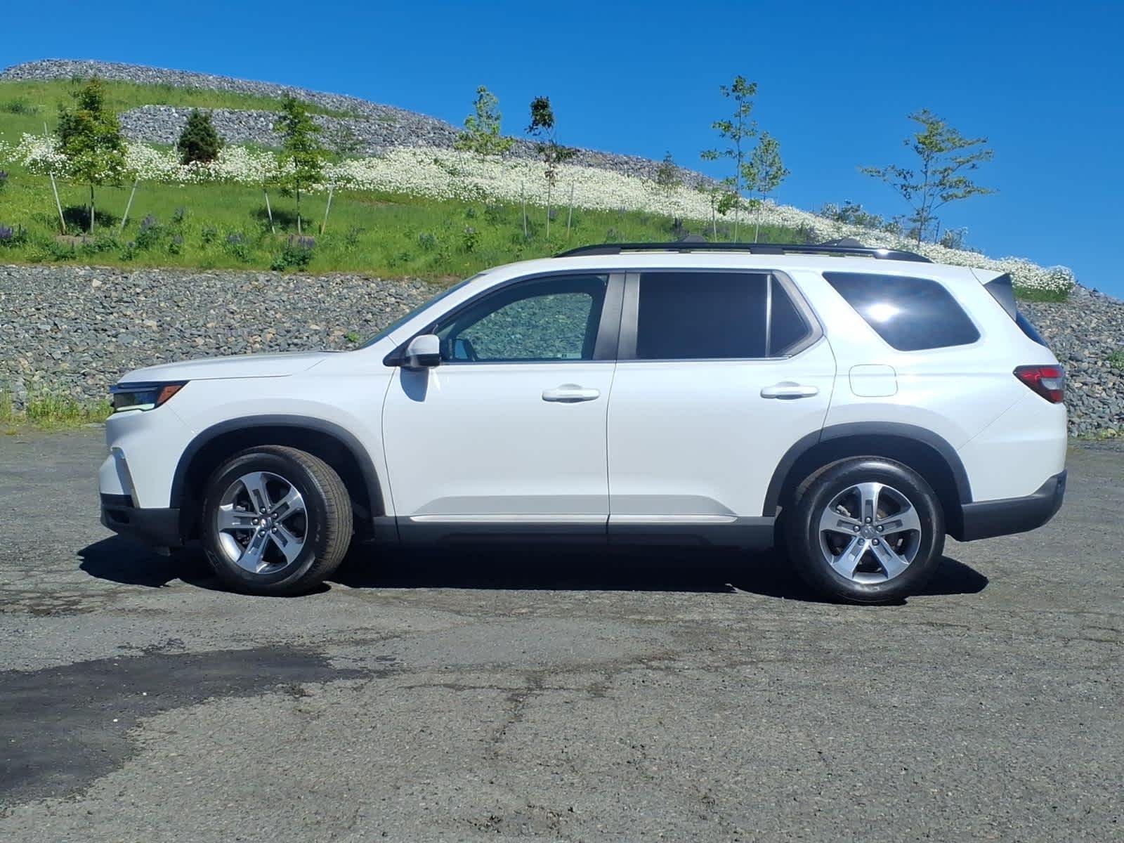 2024 Honda Pilot EX-L - Photo 8