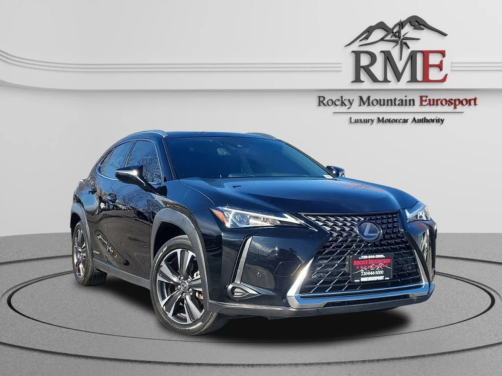 2020 Lexus UX 300h 250h AWD's photo
