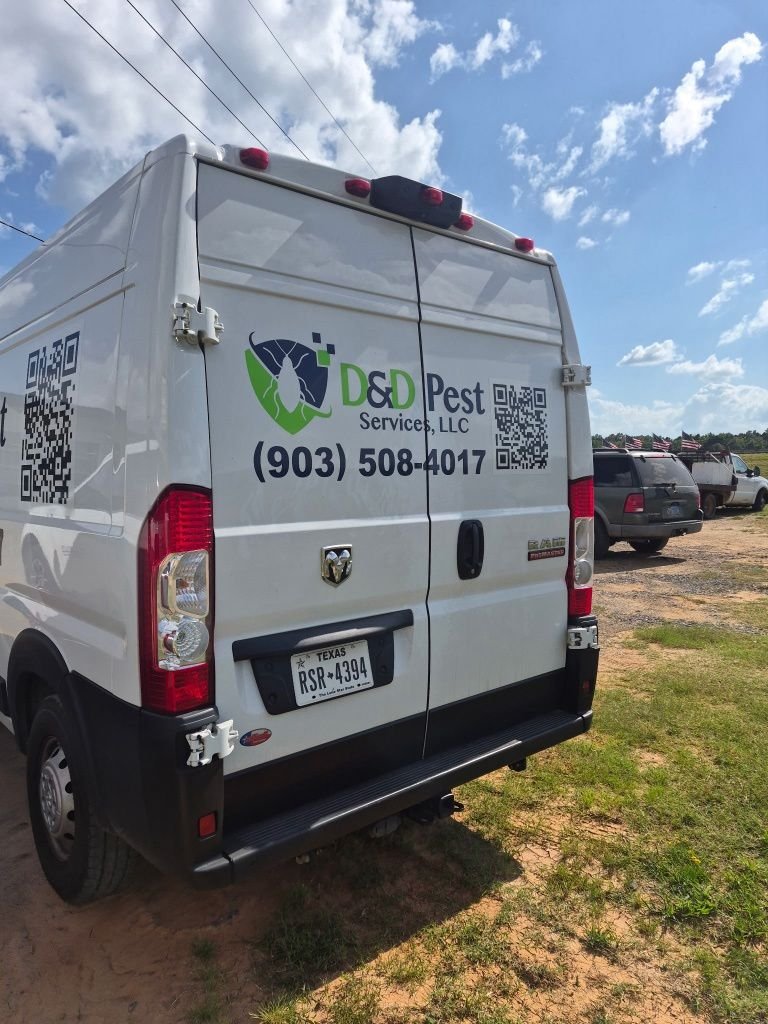 Used 2022 White Ram High Roof image 2