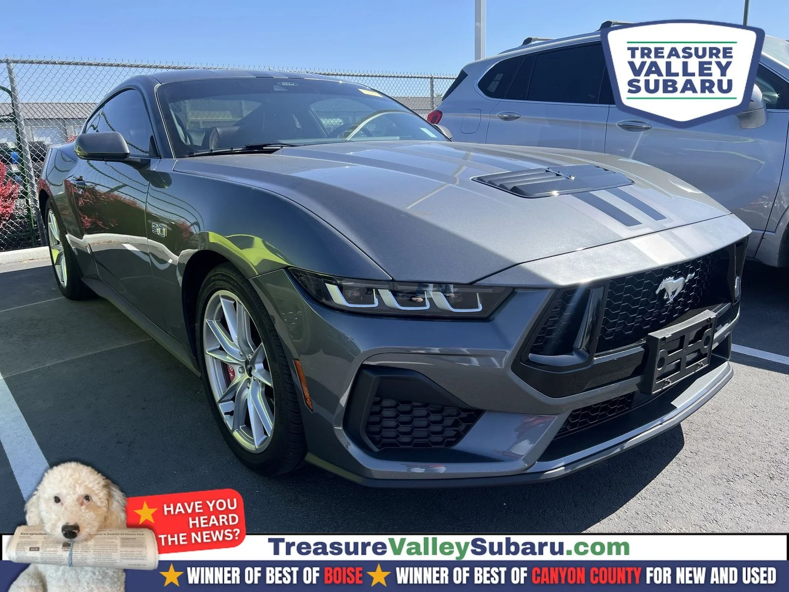 2024 Ford Mustang GT Premium Fastback's photo
