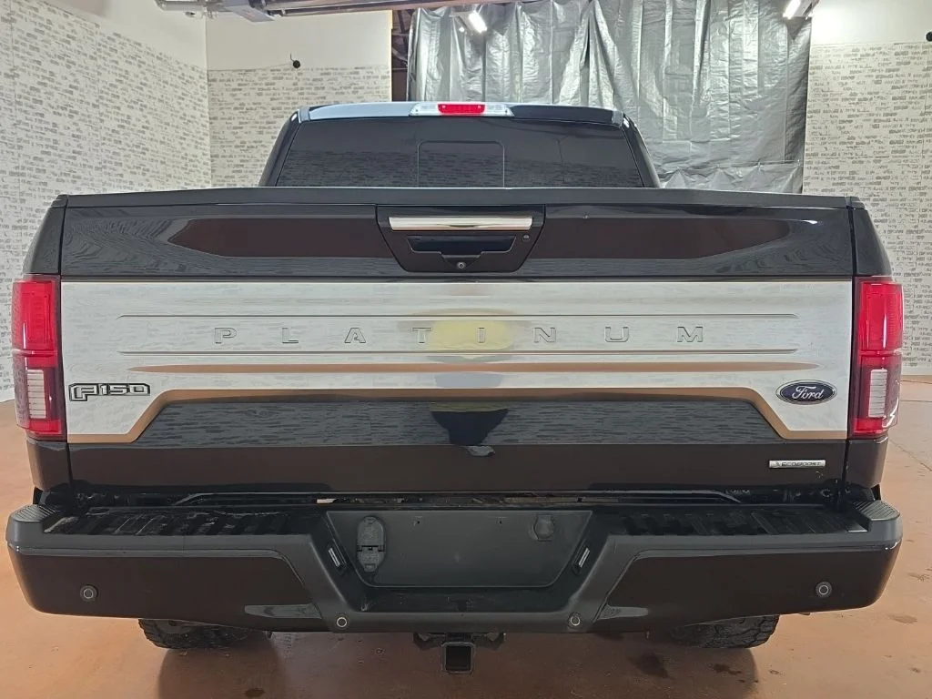 Used 2020 Black Ford Platinum image 6