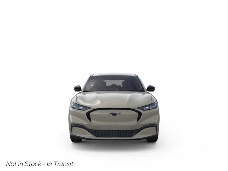 New 2026 Desert Sand Ford Premium image 6