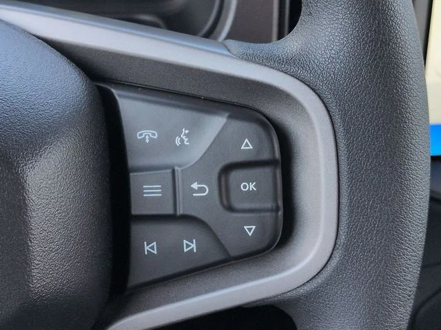 New 2026 Beige Ford Base image 23