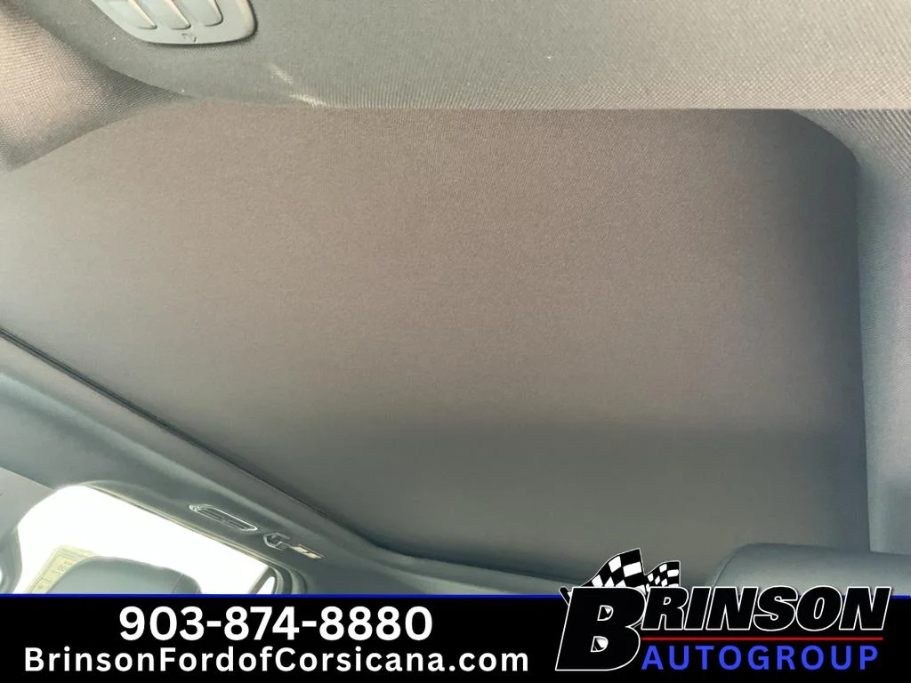 New 2027 Gray Ford Platinum image 13