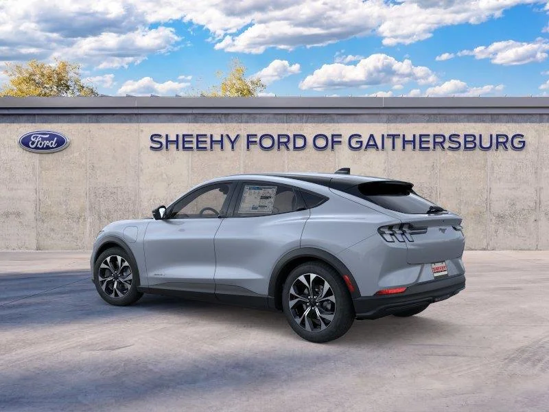 New 2026 Glacier Gray Metallic Tri-coat Ford Select image 4