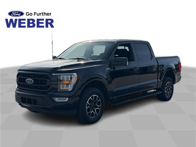 2023 Ford F-150 XLT 4WD SuperCrew 5.5' Box
